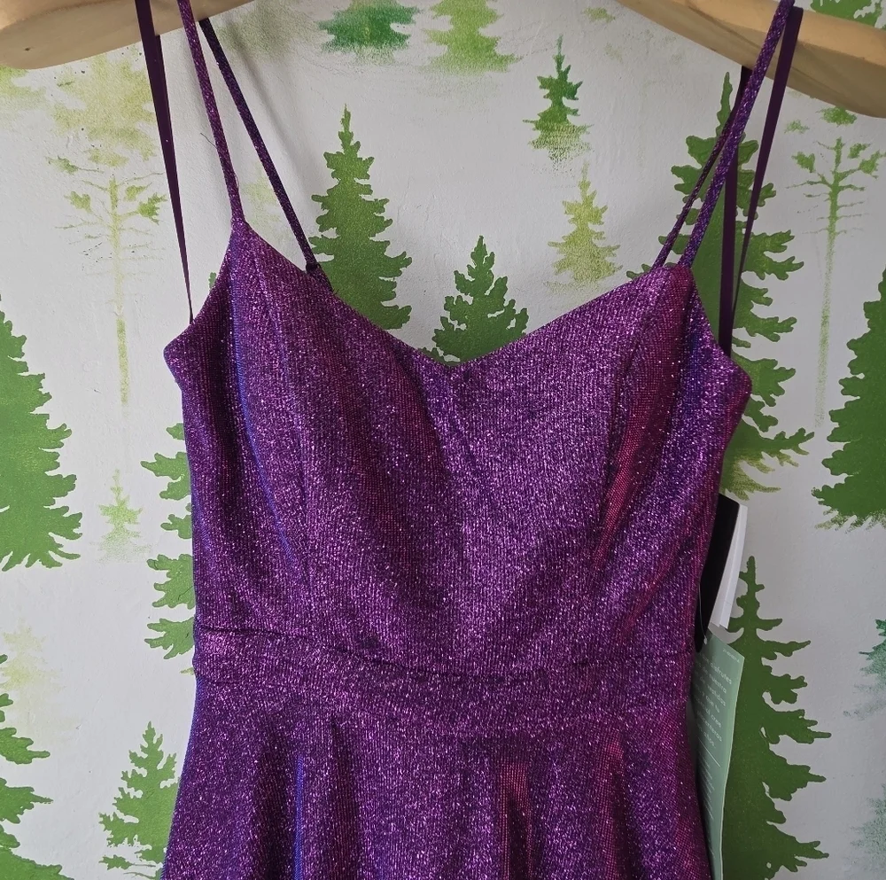 Elegant A-line Purple Glitter Dress